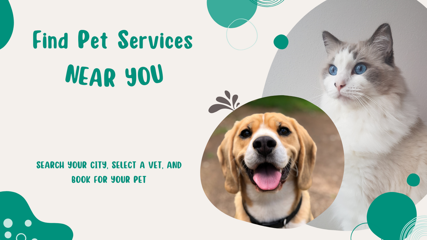 Find Pet Services Near You